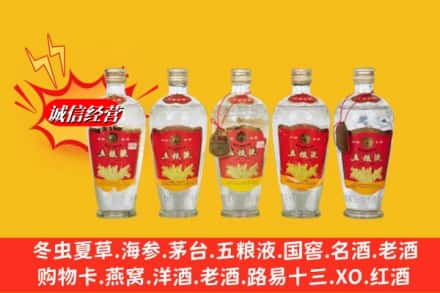 阿里改则县回收老五粮液